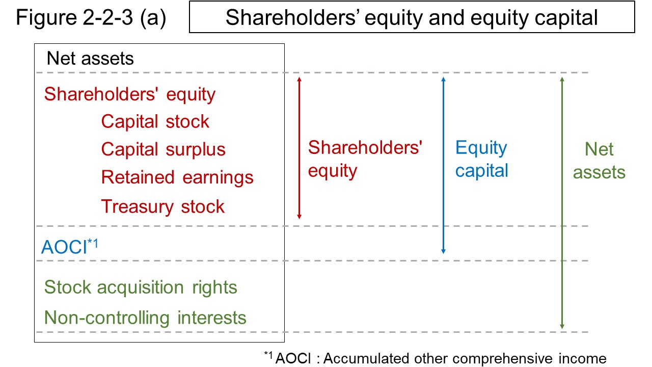 Figure 2-2-3 (a) Shareholders' equity and equity capita